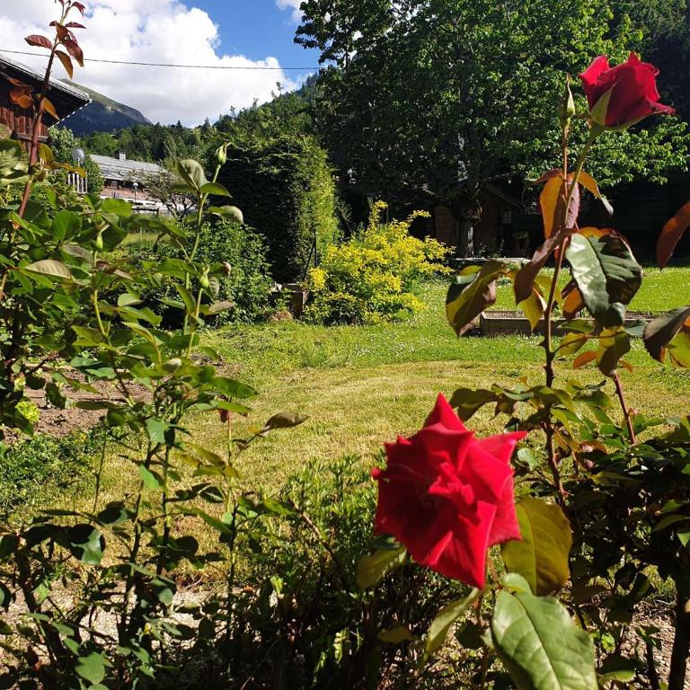 Chalet cosy pour 2-3 pers. avec jardin au cœur du village, à 5 min du ski et proche des commerces - Maison 1 Chambre - 7