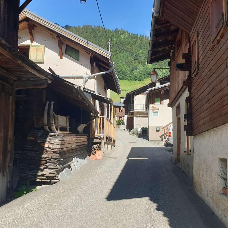 Chalet cosy pour 2-3 pers. avec jardin au cœur du village, à 5 min du ski et proche des commerces - Maison 1 Chambre - 9