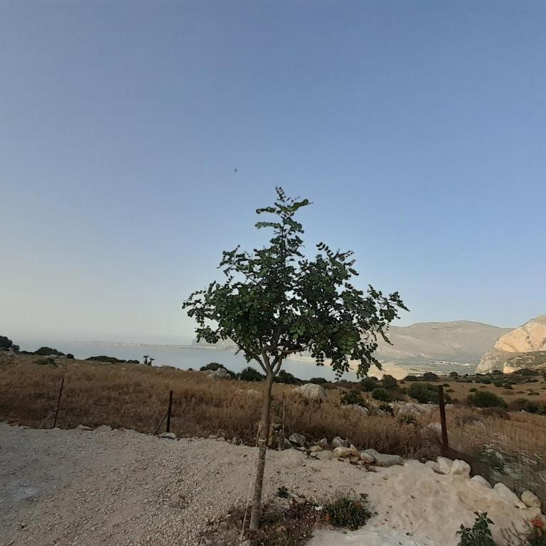 La Casa di Cofano - Appartamento con Vista Mare - 12