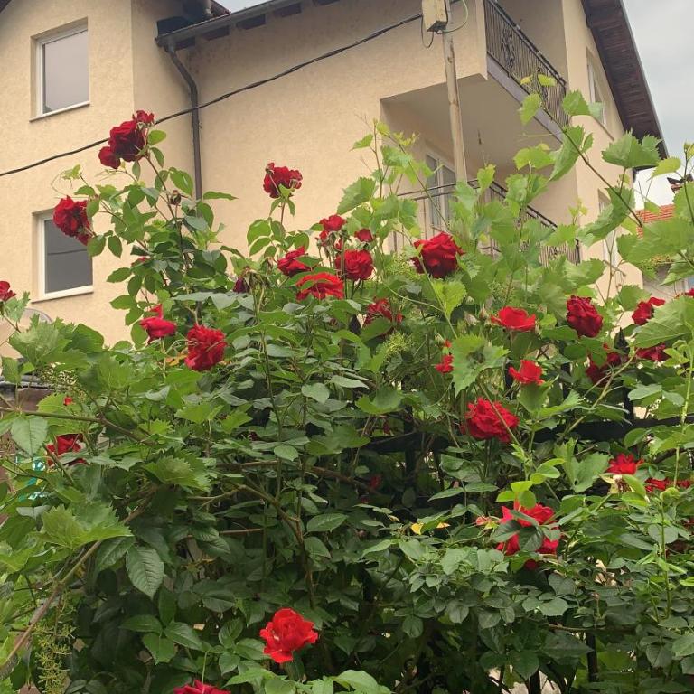 Saray House Sarajevo - Standardni Apartman - 4