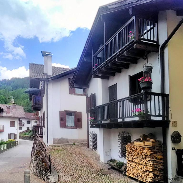 Casa Rosetta nel cuore delle Dolomiti - Casa con 1 dormitorio - 15