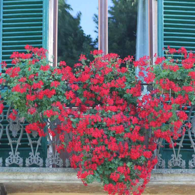 Villa Sant’Andrea - Ampia Camera Matrimoniale/Doppia con Letti Singoli - 7