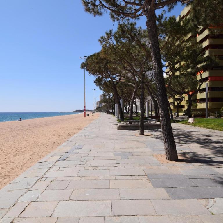 Mar i Vent D CostaBravaSi - Apartamento - 28