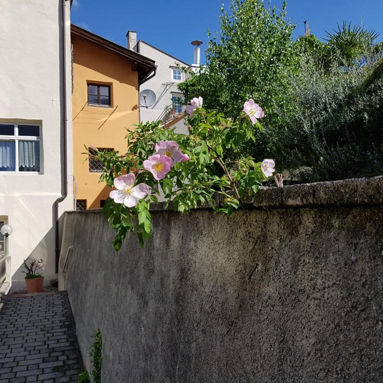 Downtown Hideout Bressanone Pedestrian Zone Private Garden, Parking Brixen Card - Apartamento Superior - 27