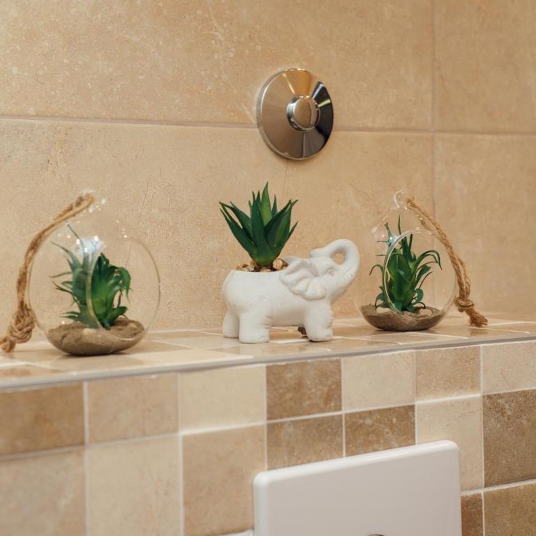 La Mer Apartments Kotor - Apartman sa 1 Spavaćom Sobom - 22
