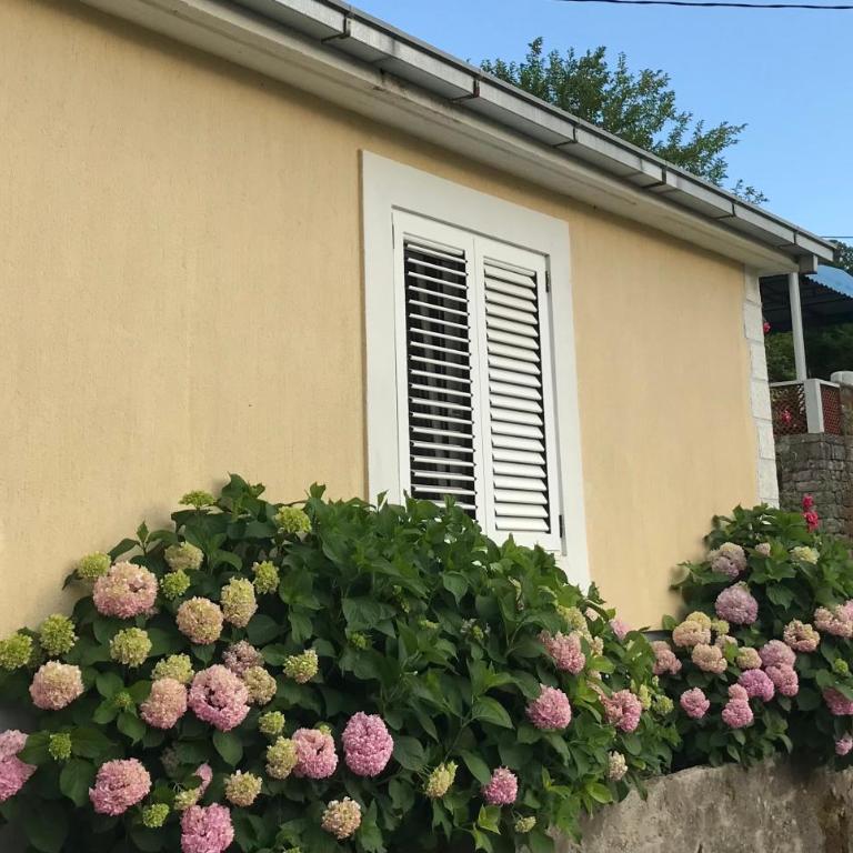 Etno village Mihailovic - One-Bedroom House - 76