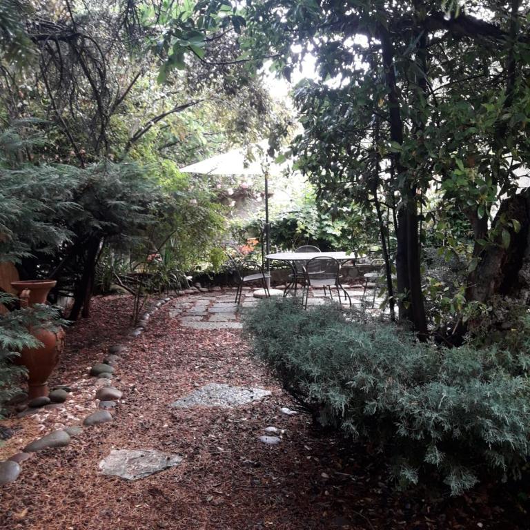 Il Fico di Cortona - Casa con 2 Camere da Letto - 22