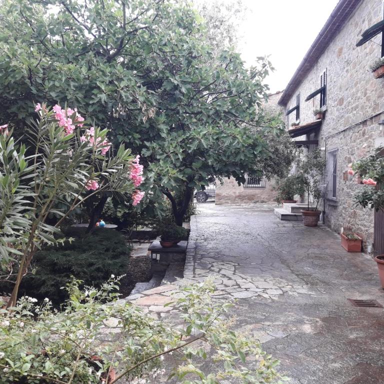 Il Fico di Cortona - Casa con 2 Camere da Letto - 7