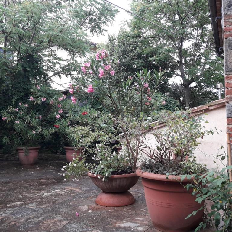 Il Fico di Cortona - Casa con 2 Camere da Letto - 25