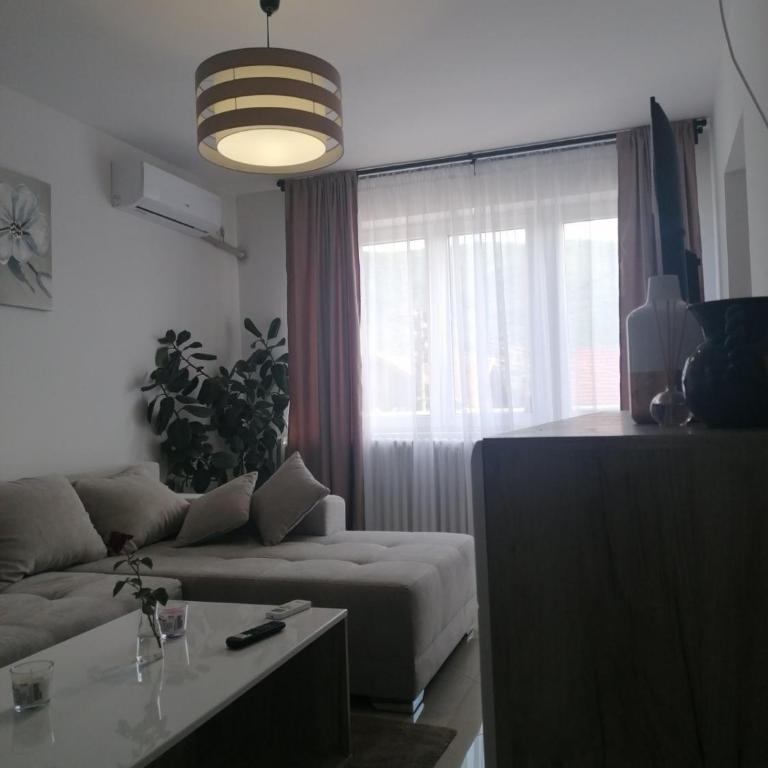 Apartmani Bambi Sokobanja - Apartman sa 1 Spavaćom Sobom - 4