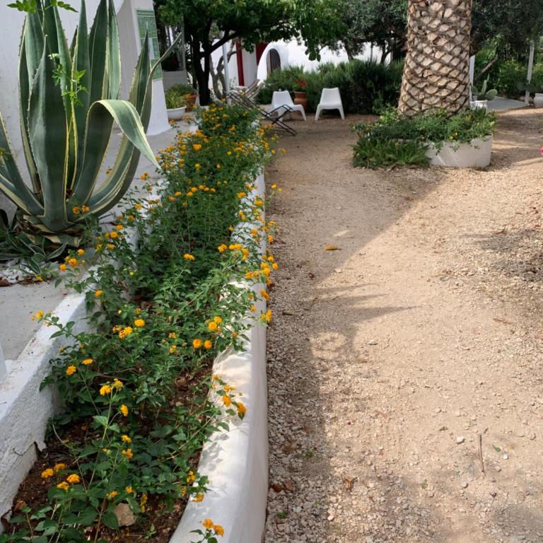 Residence Guidaloca - Monolocale Standard - 8