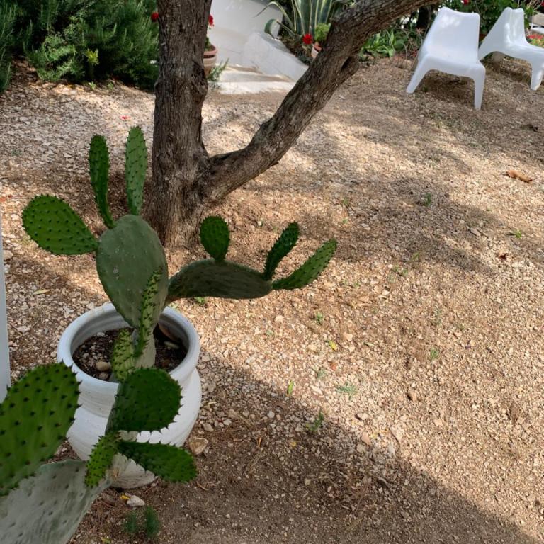 Residence Guidaloca - Appartamento con 2 Camere da Letto - 42