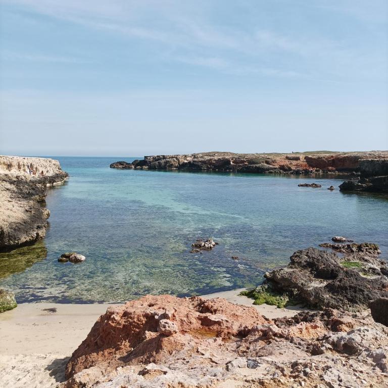Villa Susca - villa sul mare - Villa con Vista Giardino - 35