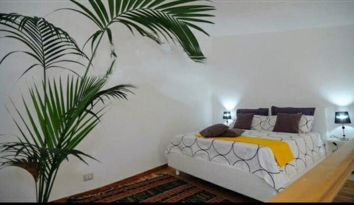 Casa Ranieri Palermo - Appartamento con Vista Giardino - 11