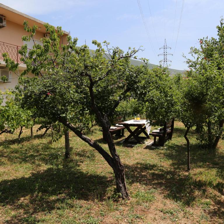 Garden House Apartment - Apartman sa 2 Spavaće Sobe - 13