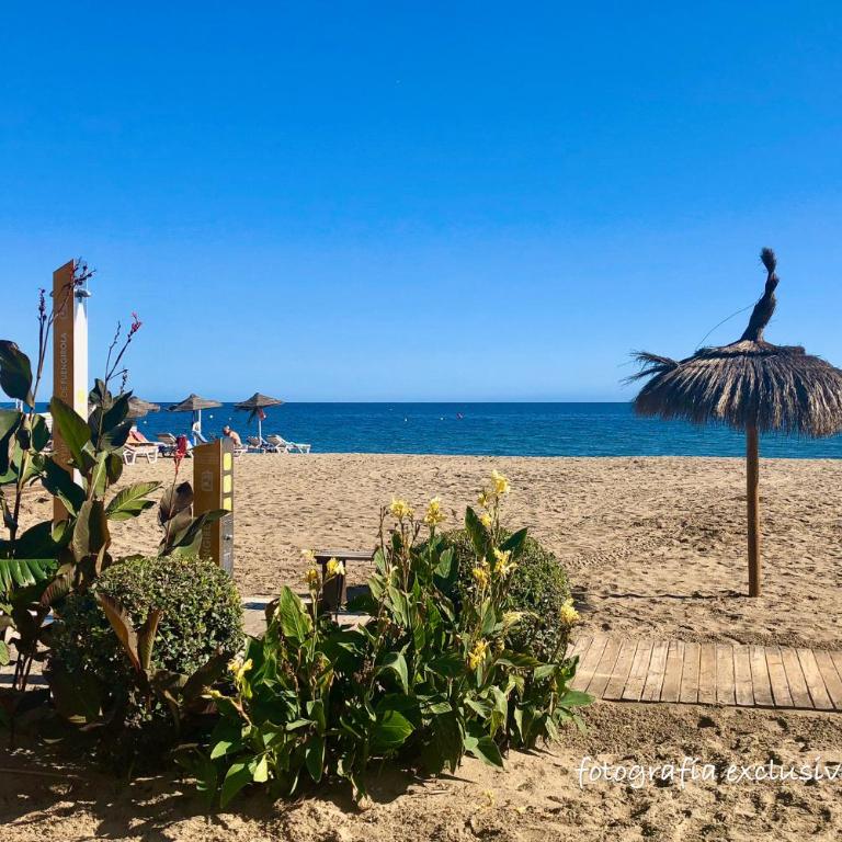 MC086CT Vacaciones en 1a linea de playa, Ronda IV - Apartamento de 1 dormitorio - 21