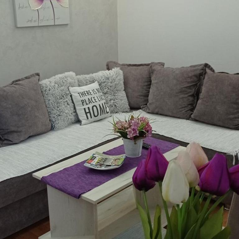 Apartman Harmonija Vrnjačka Banja - Apartman - 2