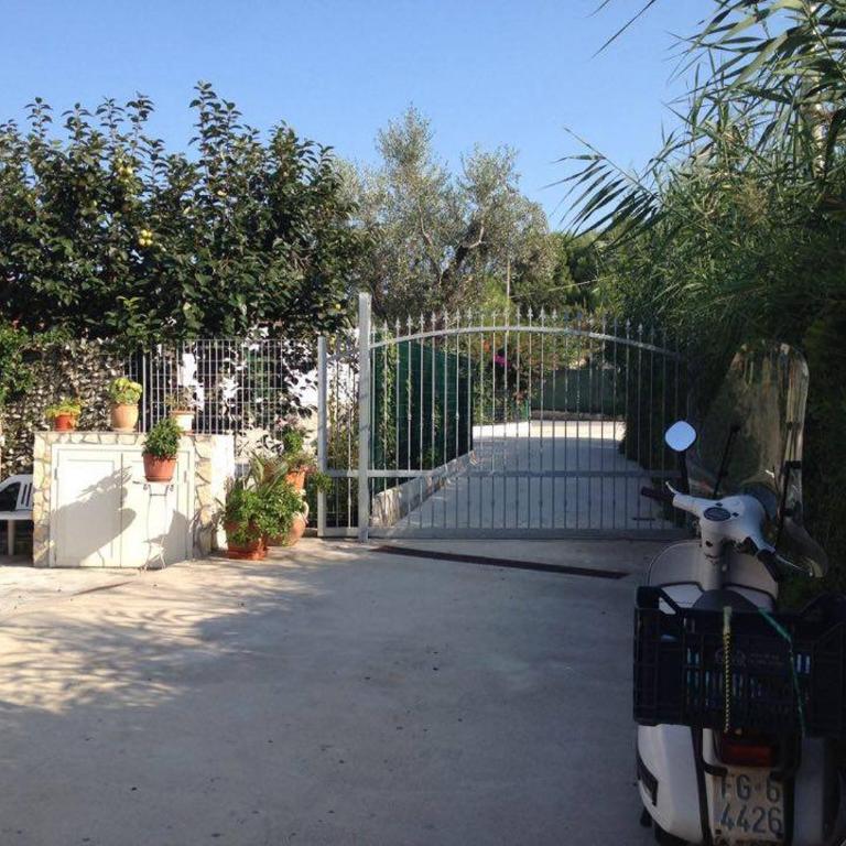 Trilocale tra alberi da frutto - Casa con 2 Camere da Letto - 12