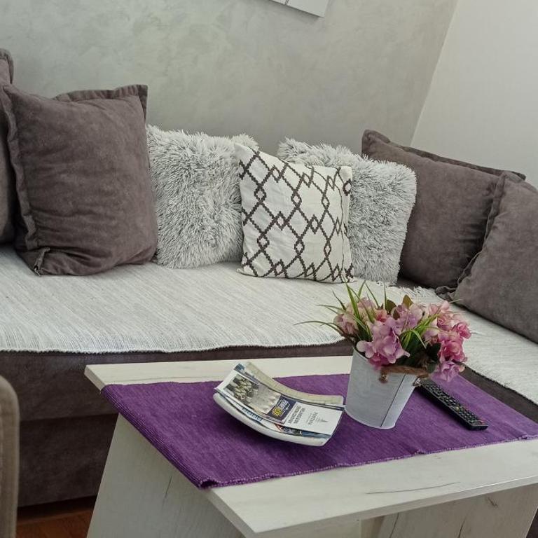 Apartman Harmonija Vrnjačka Banja - Apartman - 27