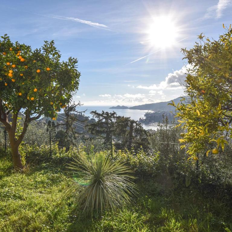 Splendida Casa A Rapallo Con Vista Mare - Casa Vacanze con 3 Camere da Letto - 8