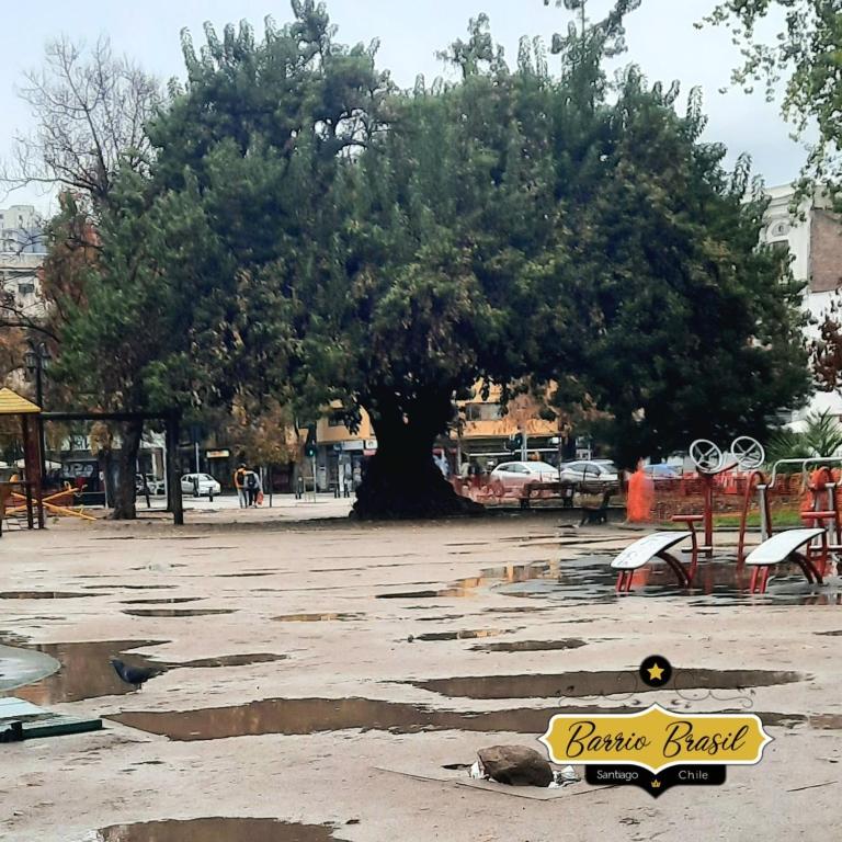 Casa dos Leones - Habitación con cama grande - 40