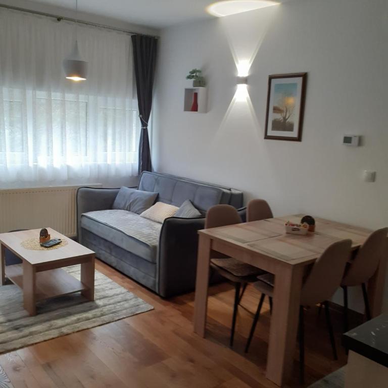 Apartman Anđela i Aleksa Divčibare - Apartman sa 2 Spavaće Sobe - 12
