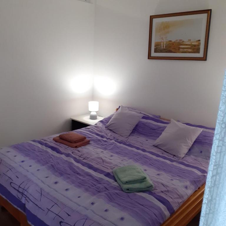 Apartman Anđela i Aleksa Divčibare - Apartman sa 2 Spavaće Sobe - 26