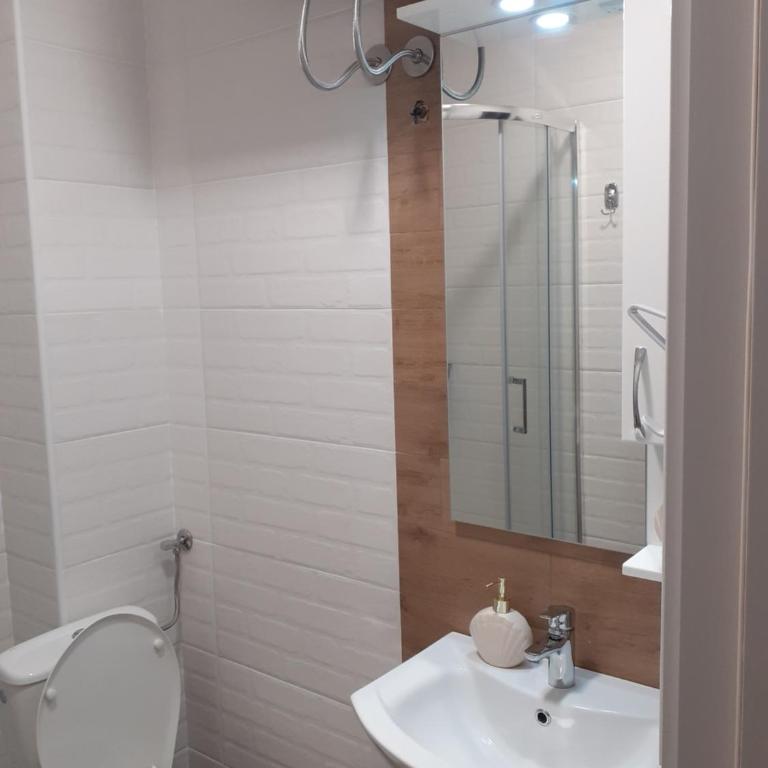 Apartman Anđela i Aleksa Divčibare - Apartman sa 2 Spavaće Sobe - 32