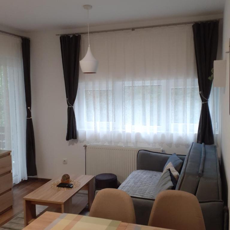 Apartman Anđela i Aleksa Divčibare - Apartman sa 2 Spavaće Sobe - 18