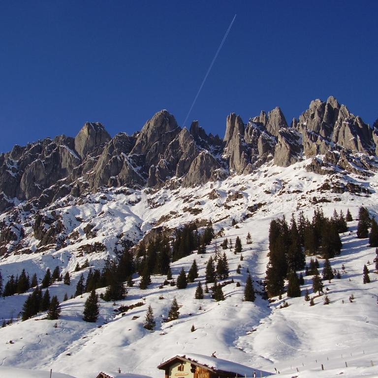 Appartementhaus Hochkönig 1 - Alpenrose - Apartment mit Balkon - 30