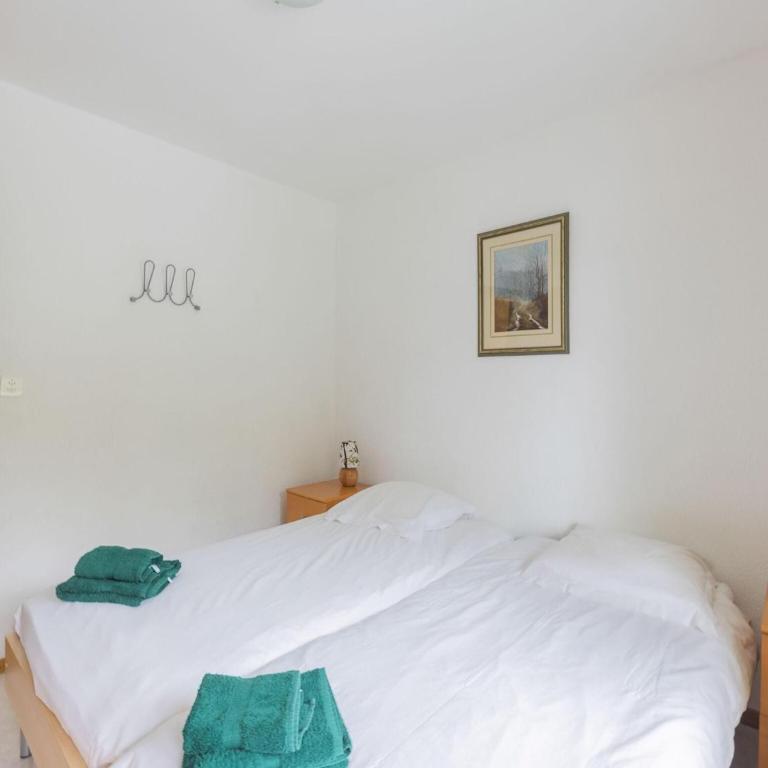 Apartment Crans-Montana near Ski Slopes - Appartement 3 Chambres - 24
