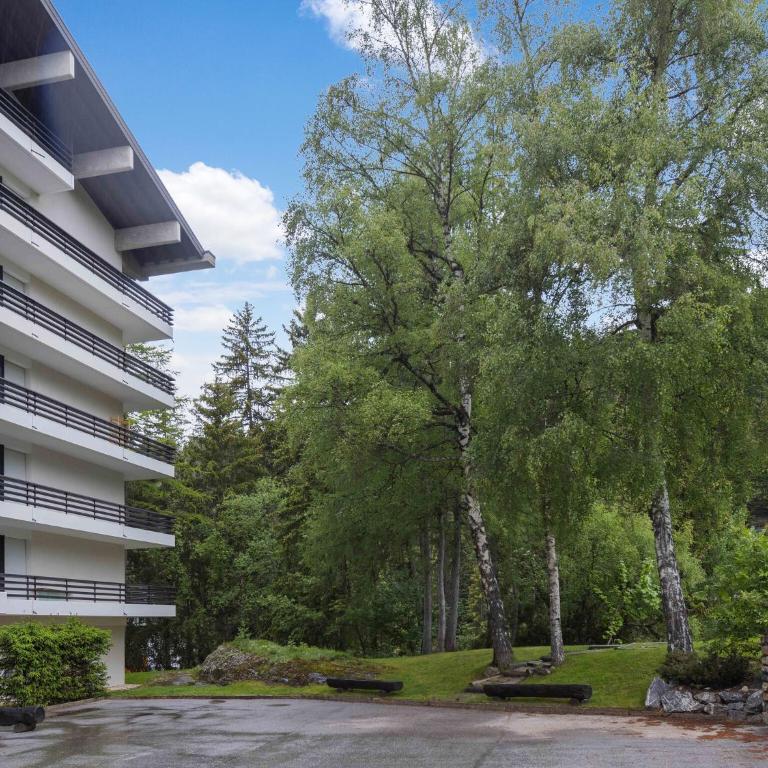 Apartment Crans-Montana near Ski Slopes - Appartement 3 Chambres - 9