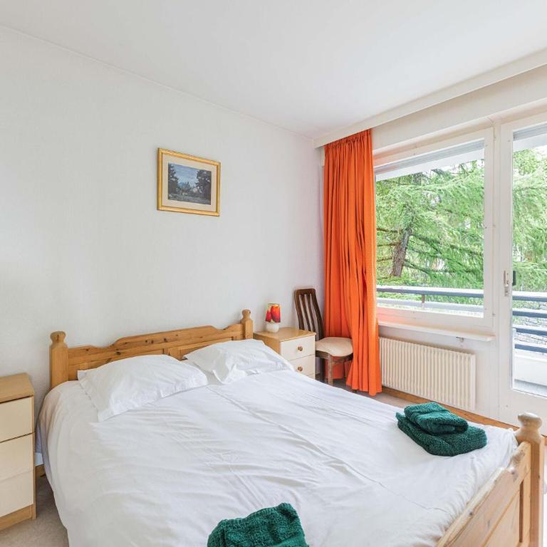 Apartment Crans-Montana near Ski Slopes - Appartement 3 Chambres - 22