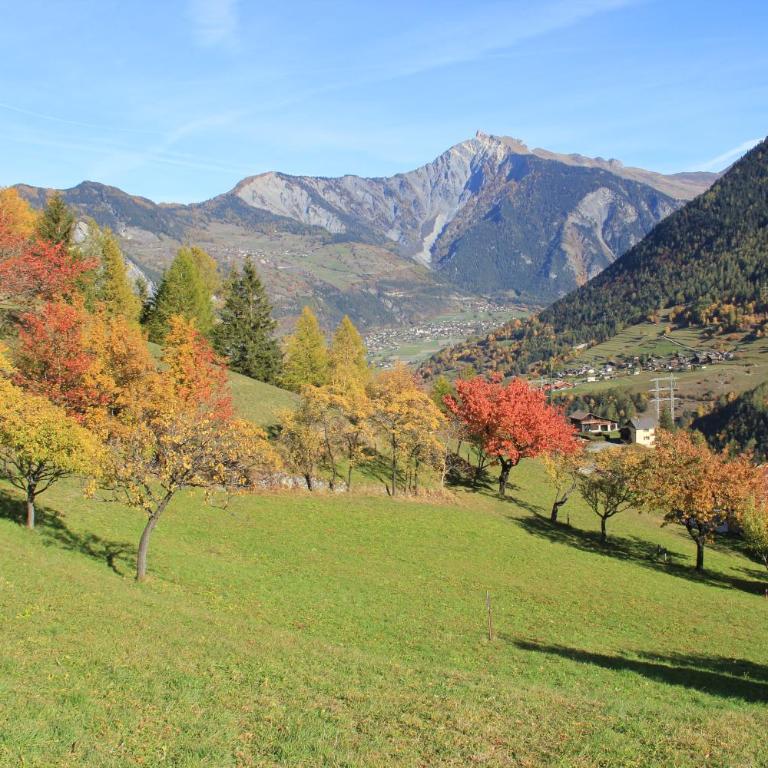 La Grange de Soulalex - Chalet mit 2 Schlafzimmern - 10