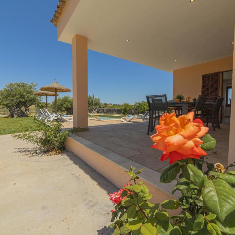 Villa Can Segue - Villa con piscina privada - 34