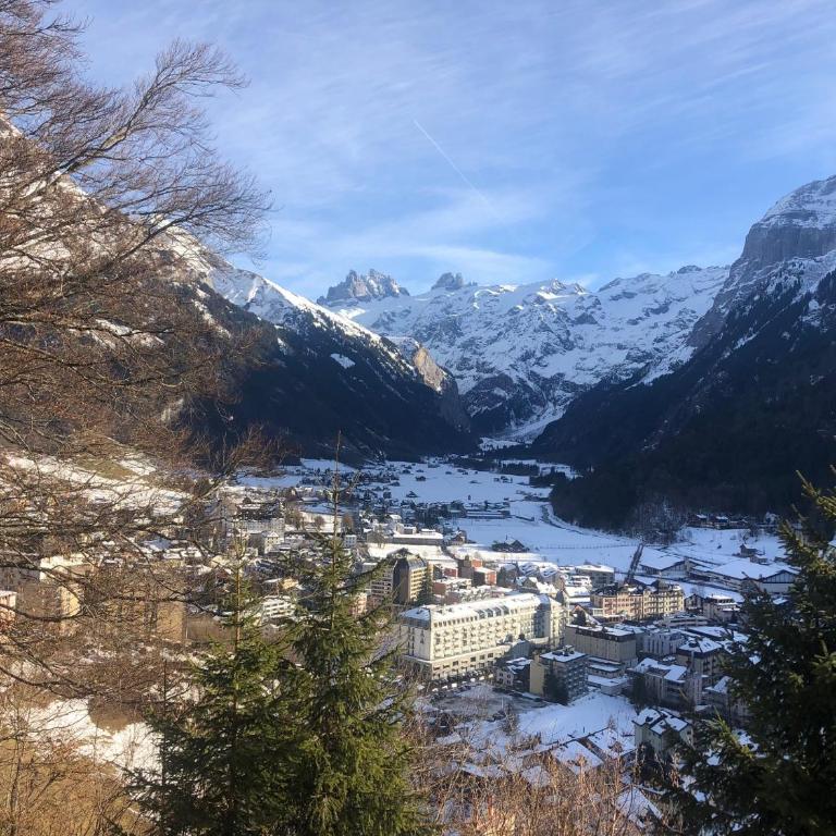Summer Stay in Engelberg Apartment with Spacious Terrace & Mountain Views - Apartment mit Blick auf die Berge - 17