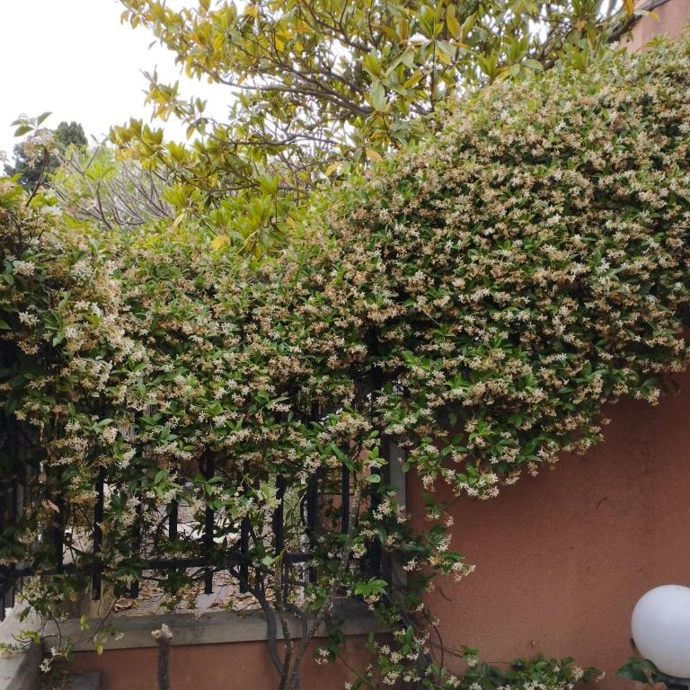 Casabella Mondello - Haus mit 2 Schlafzimmern - 1