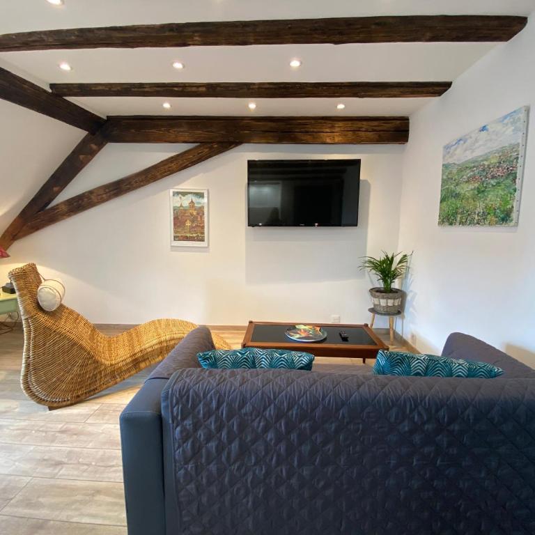 L'Ours de Colmar - Appartements en centre ville - Appartamento su 2 Livelli - 20