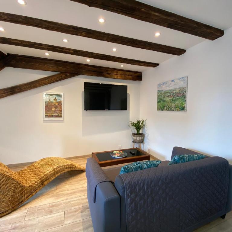 L'Ours de Colmar - Appartements en centre ville - Appartamento su 2 Livelli - 23