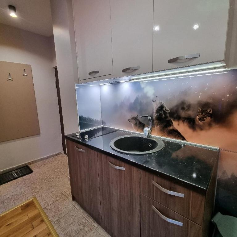 Apartman Makiatto Jahorina - Two-Bedroom Apartment - 11