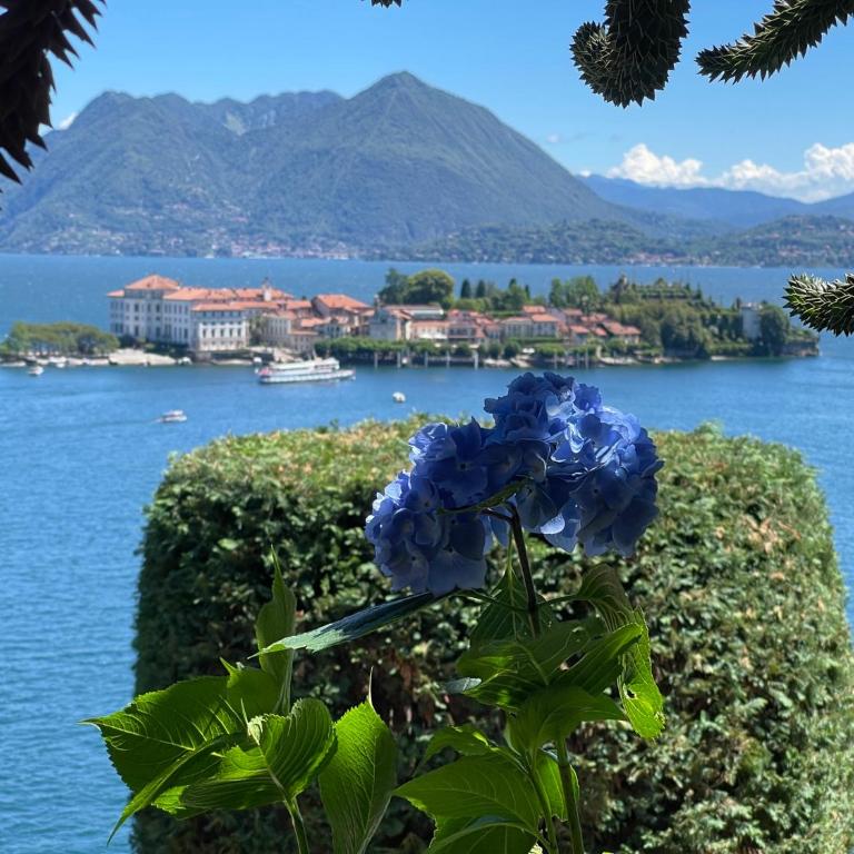Appartamento vista Lago, giardino spiaggia a Stresa vista Isole Borromee e Golfo Borromeo - STRESAFLAT - Monolocale con Vista Lago - 24