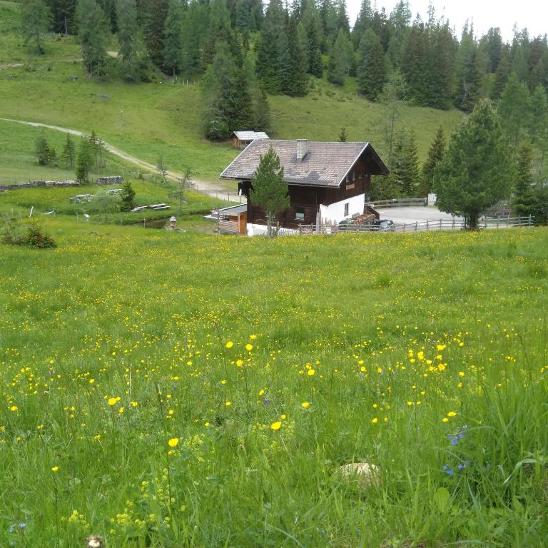 Marktlhütte - Chalet - 71