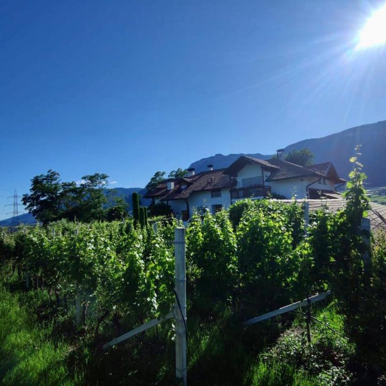 Bühel im Gschleier - Appartamento con 1 Camera da Letto - 18