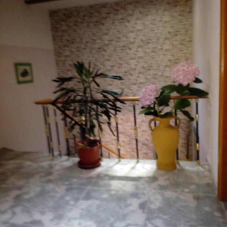 Casa, apartment dúplex independiente - Apartamento Dúplex - 28
