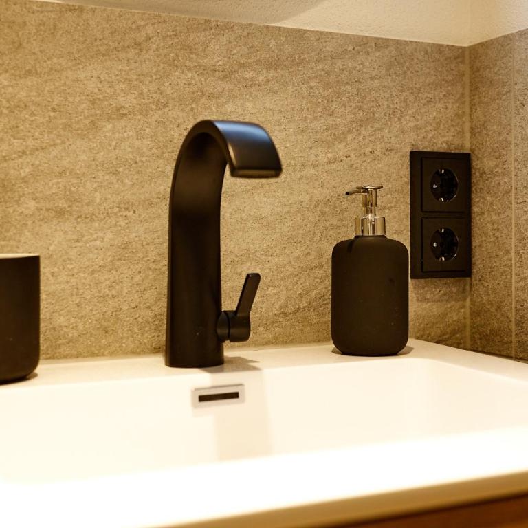 Mäxle Apartments - One-Bedroom Apartment - 12