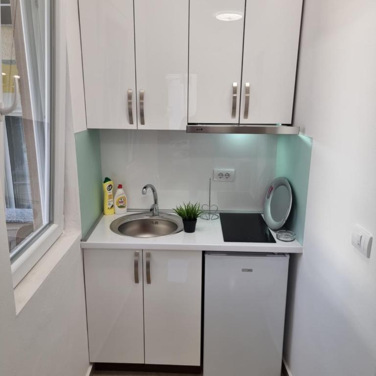Ebra Lux Apartmani - Apartman sa Terasom - 13