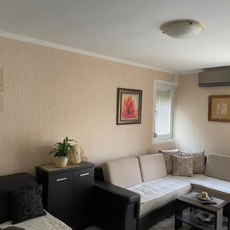 Studio Apartment for rent in Budva - Studio Apartman - 14