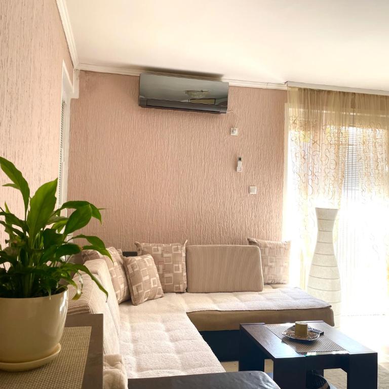 Studio Apartment for rent in Budva - Studio Apartman - 15