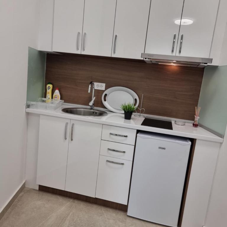 Ebra Lux Apartmani - Apartman sa 1 Spavaćom Sobom - 23