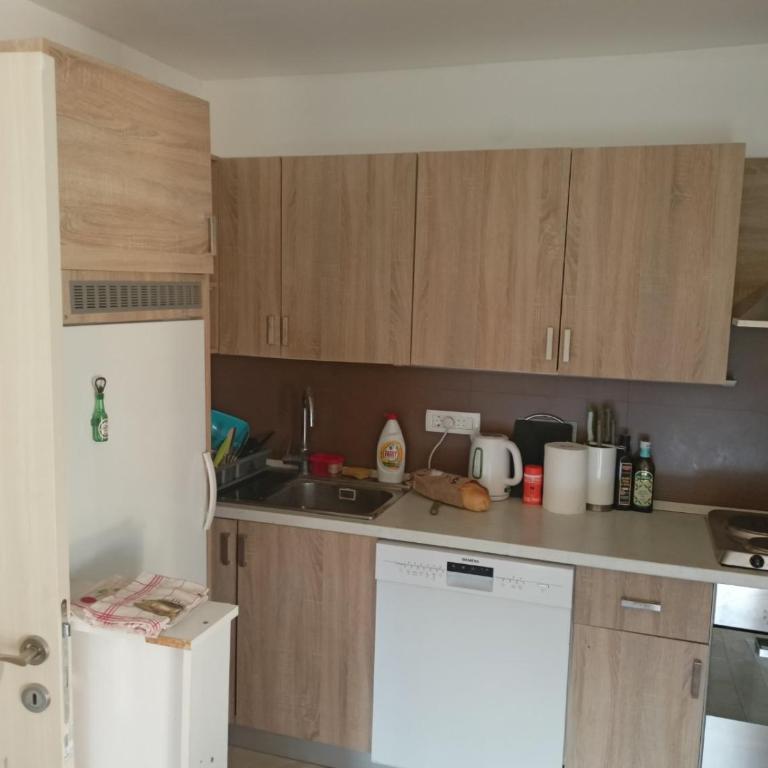 Apartmani Bella - Apartman sa 2 Spavaće Sobe - 44